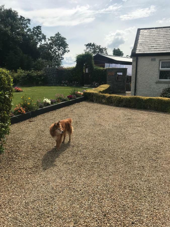 Cosy Countryside Log Cabin Kilkenny Eksteriør billede